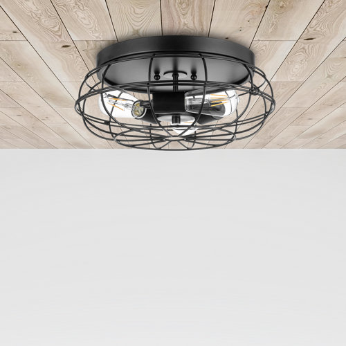 17 Stories Edgeley Matte Black Industrial Flush Mount Light with Cage